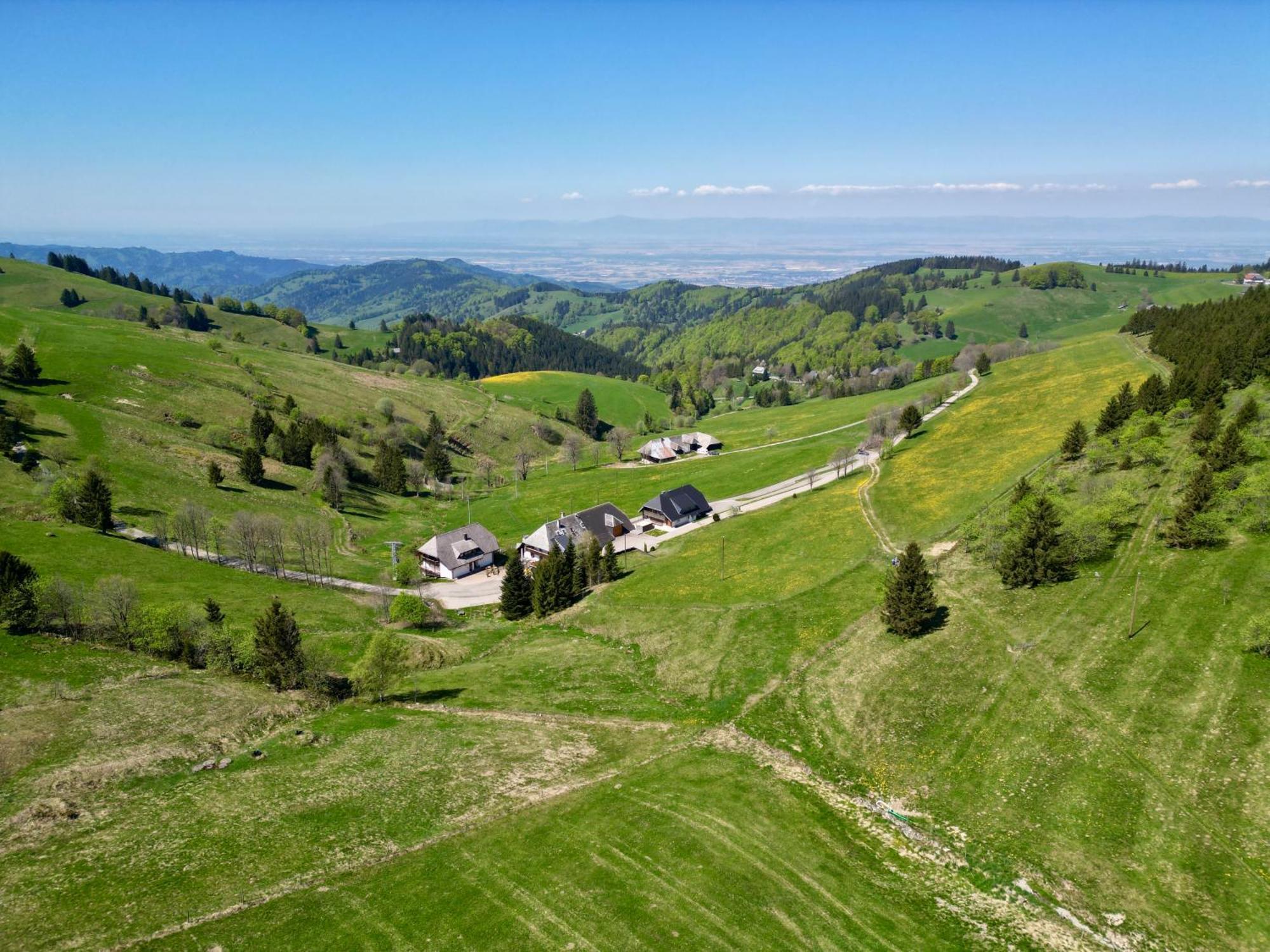 View House, Schauinsland, Black Forest Münstertal Buitenkant foto